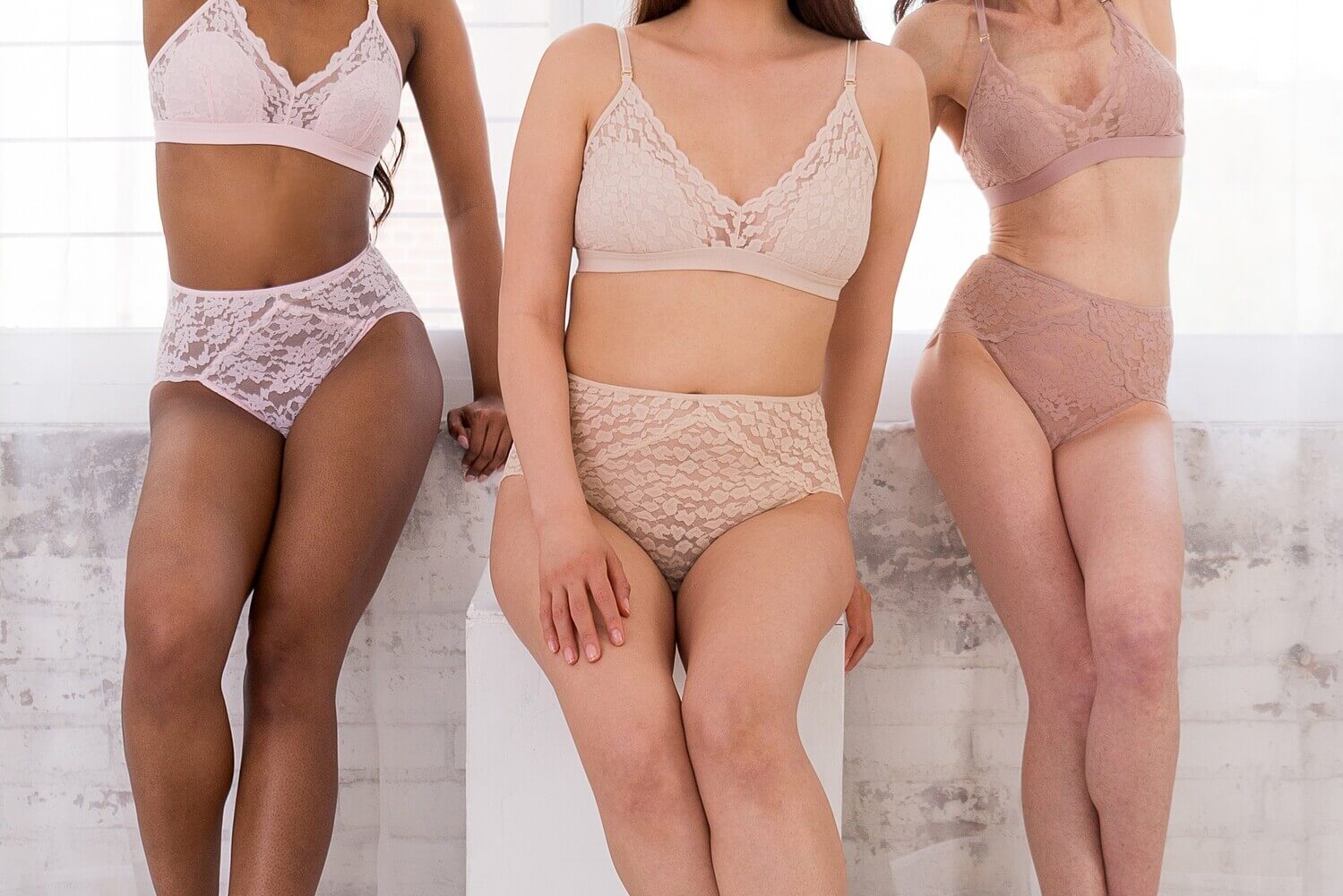 French cut panties lace underwear high waist panties