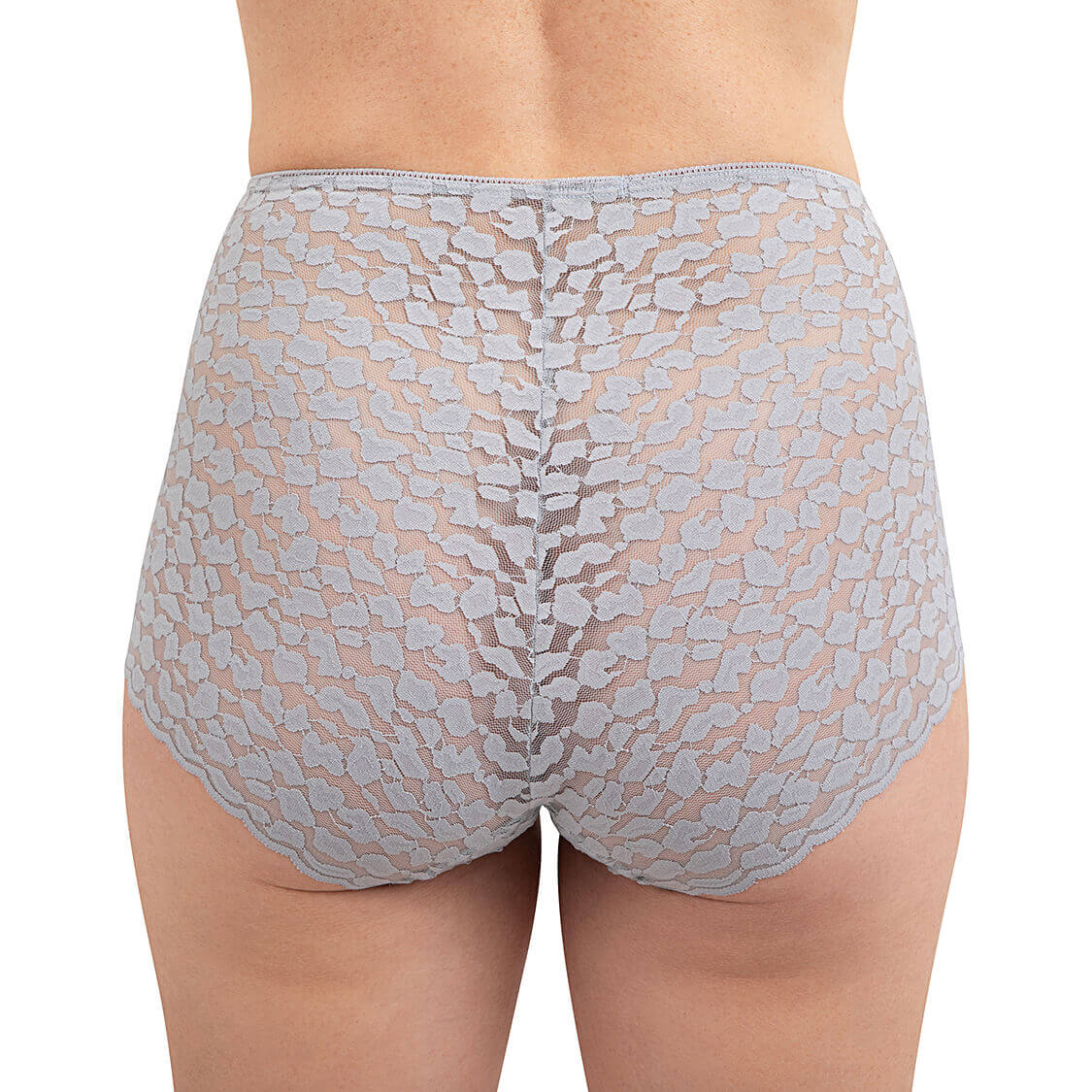 lace lingerie fullback panties in gray