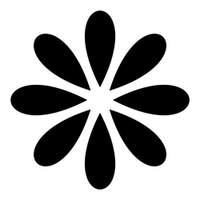Scalloped No-Show Edge