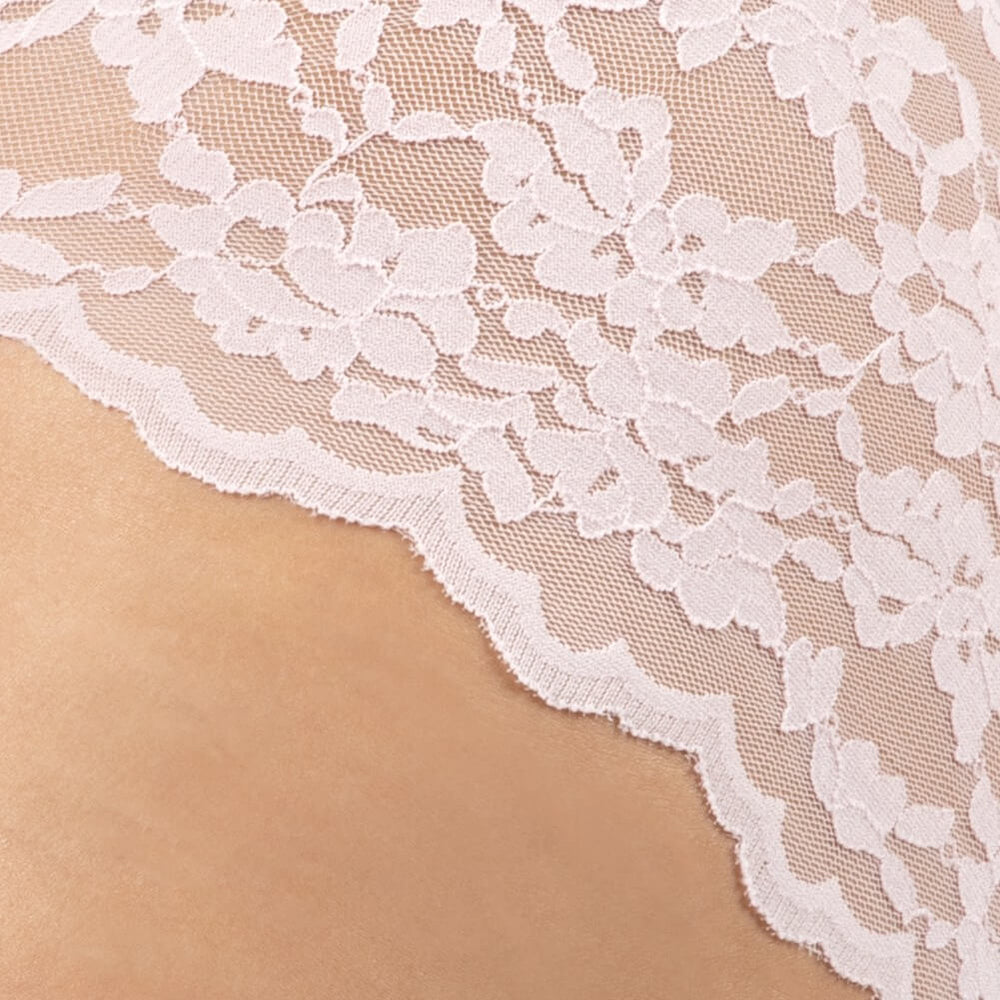Queen's Lace